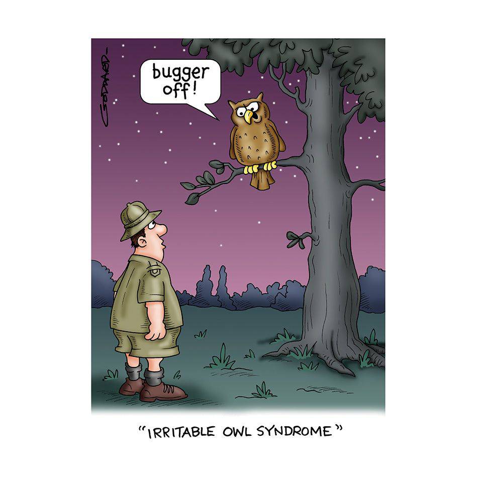 Pictura Irritable Owl funny birthday card with colorful cartoon owl illustration and playful text on a white background.